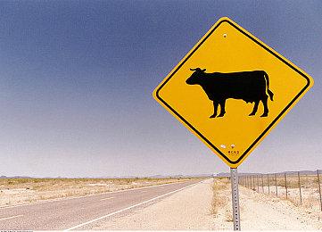 8月全球移动游戏下载榜 《地铁跑酷》榜一