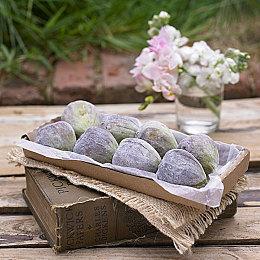 《雷霆一号》Steam获得玩家“特别好评”